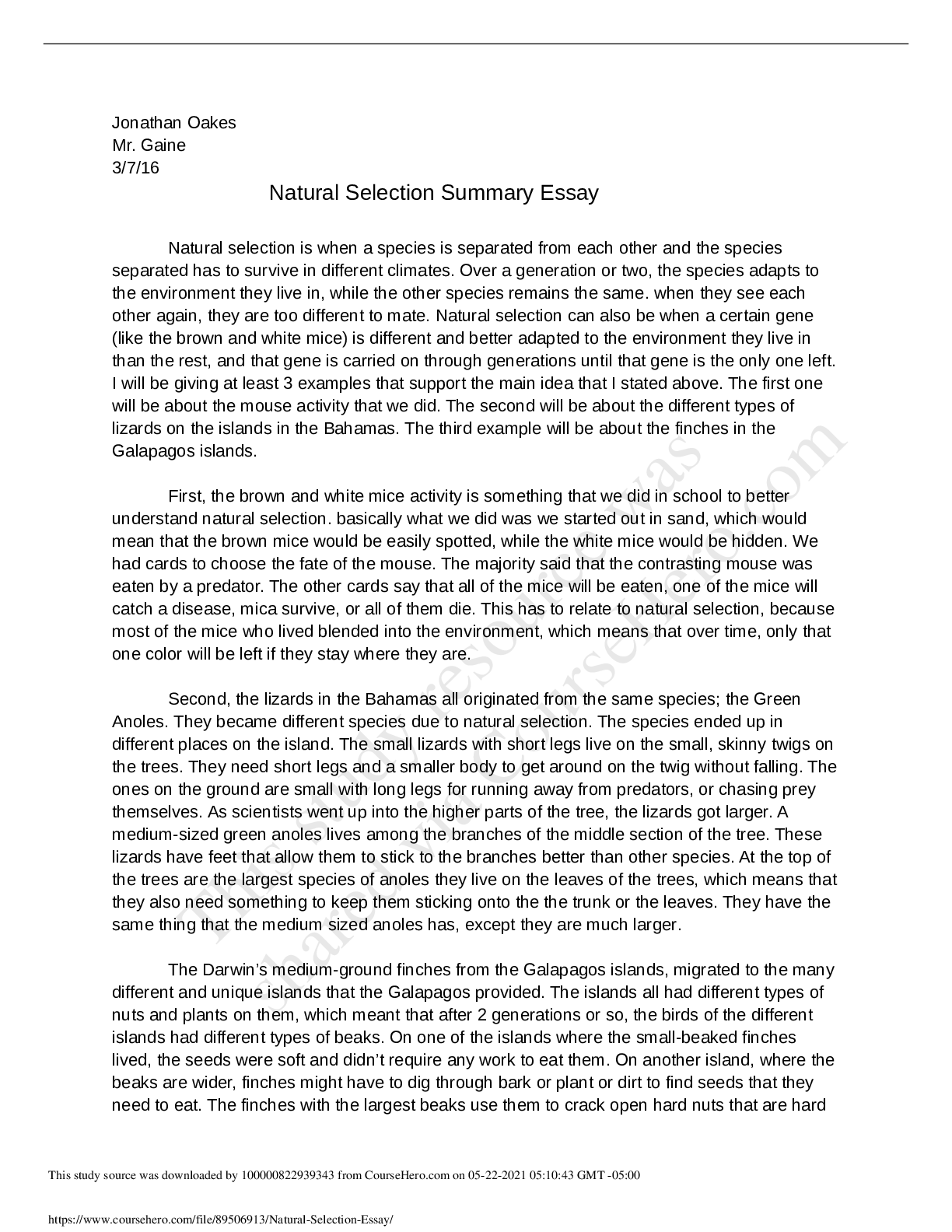 Natural_Selection_Essay Browsegrades