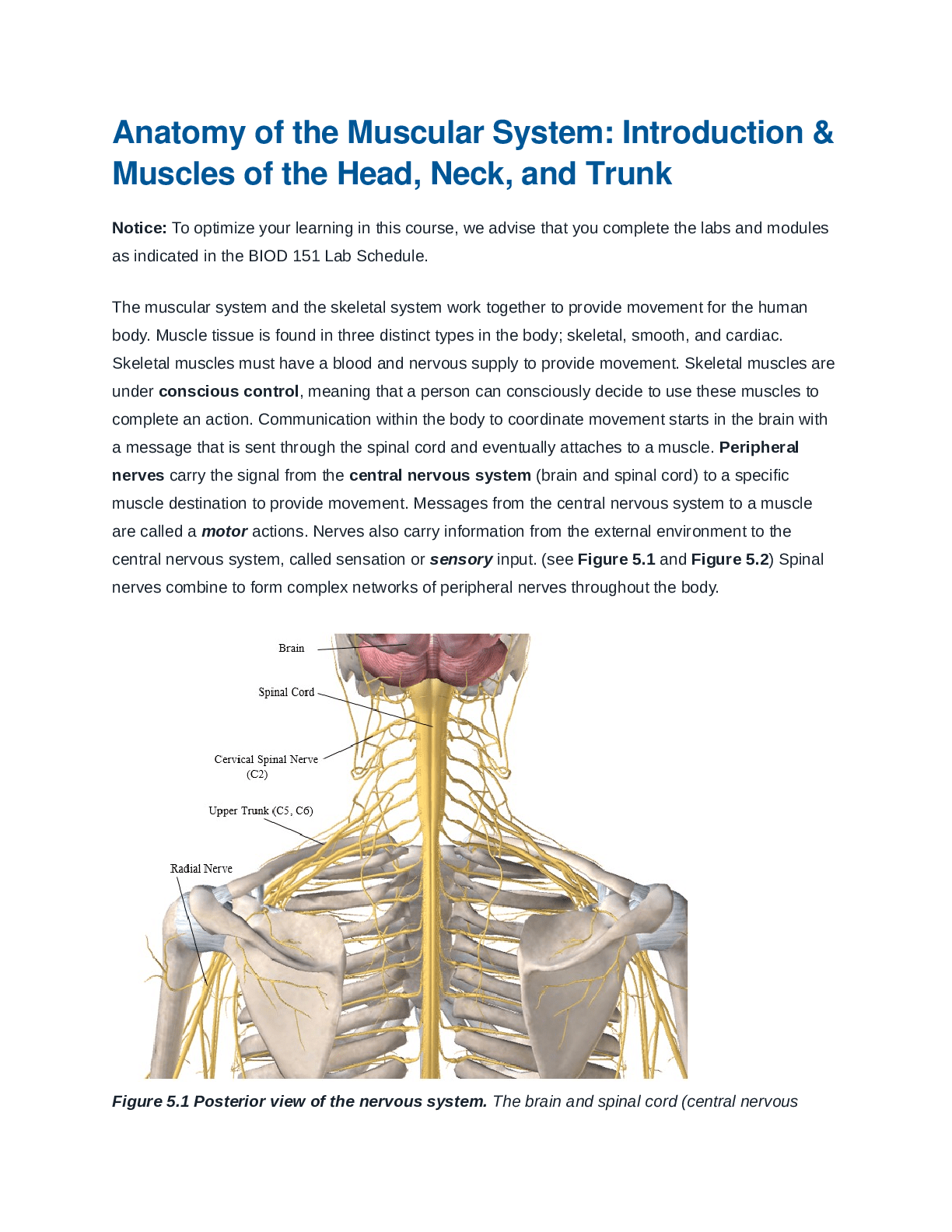 CANCER OF THE ESOPHAGUS