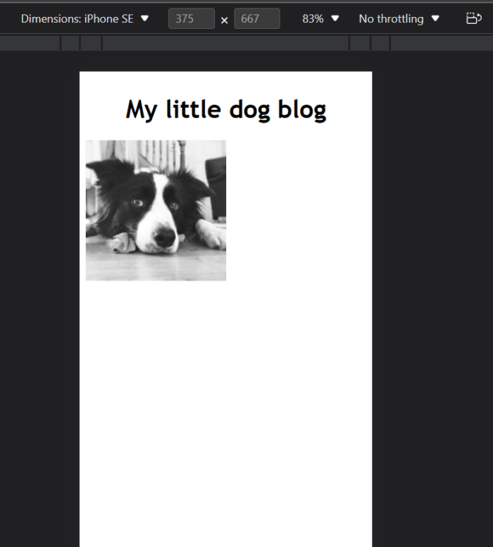 How to resize an image using CSS BrowserStack