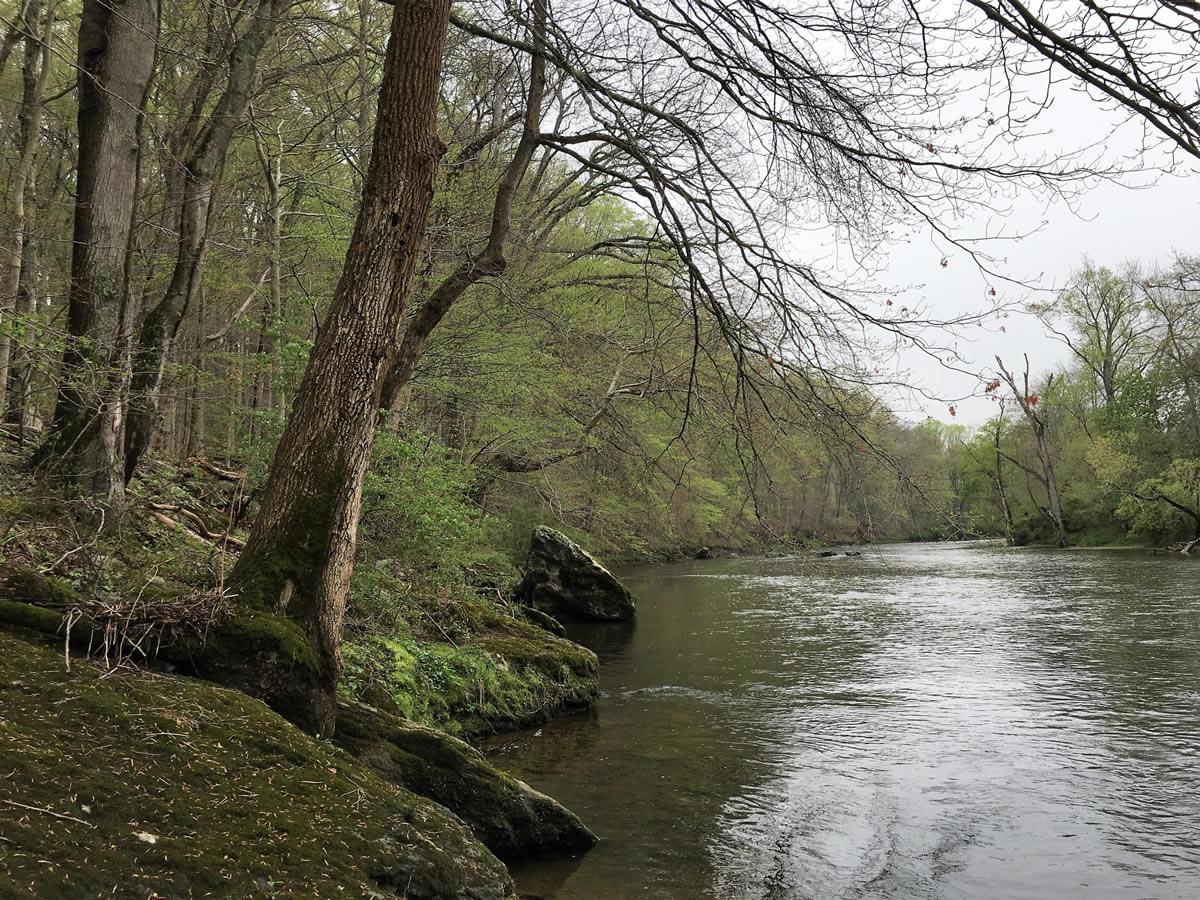 Environmental Benefits Brandywine River Restoration Trust
