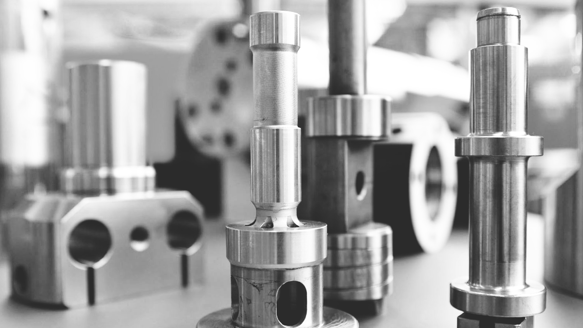 BRUDERER AG Precision in diversity. Bruderer Americas