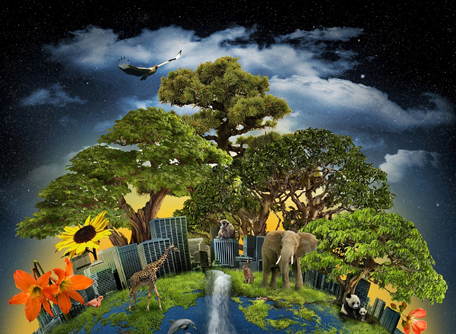 Life On Earth (1979) : BBC Internet Archive