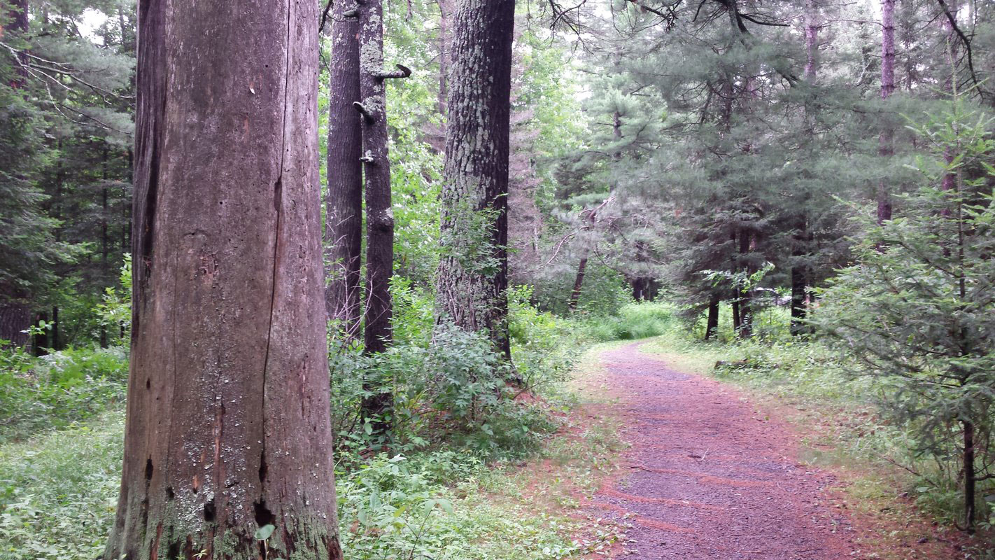 C2 Highway 2 35 Hour Easiest Brule River Canoe Rental