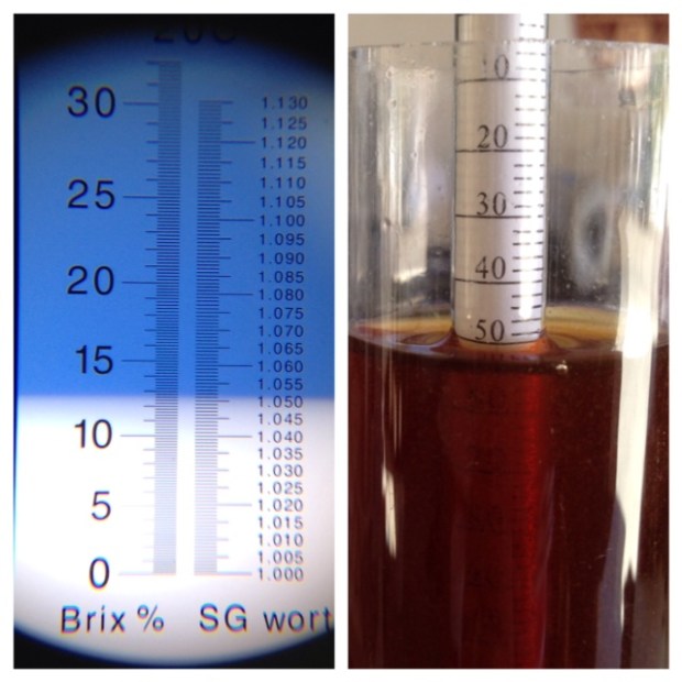 specific gravity Brülosophy