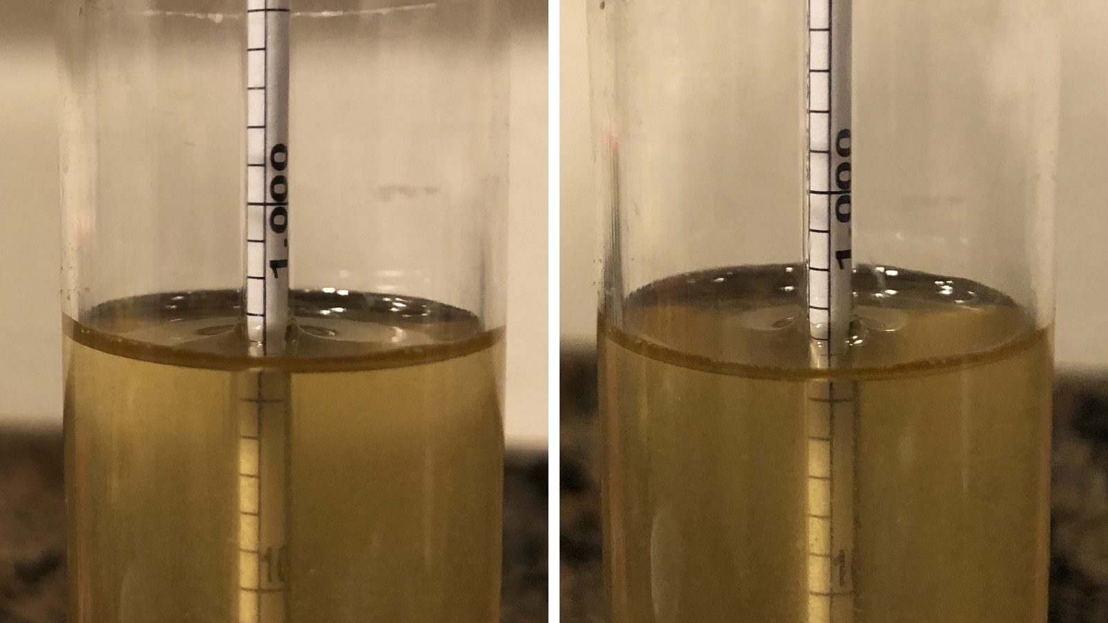 Carbonation Methods Keg Conditioning vs. Force Carbonation In A Saison