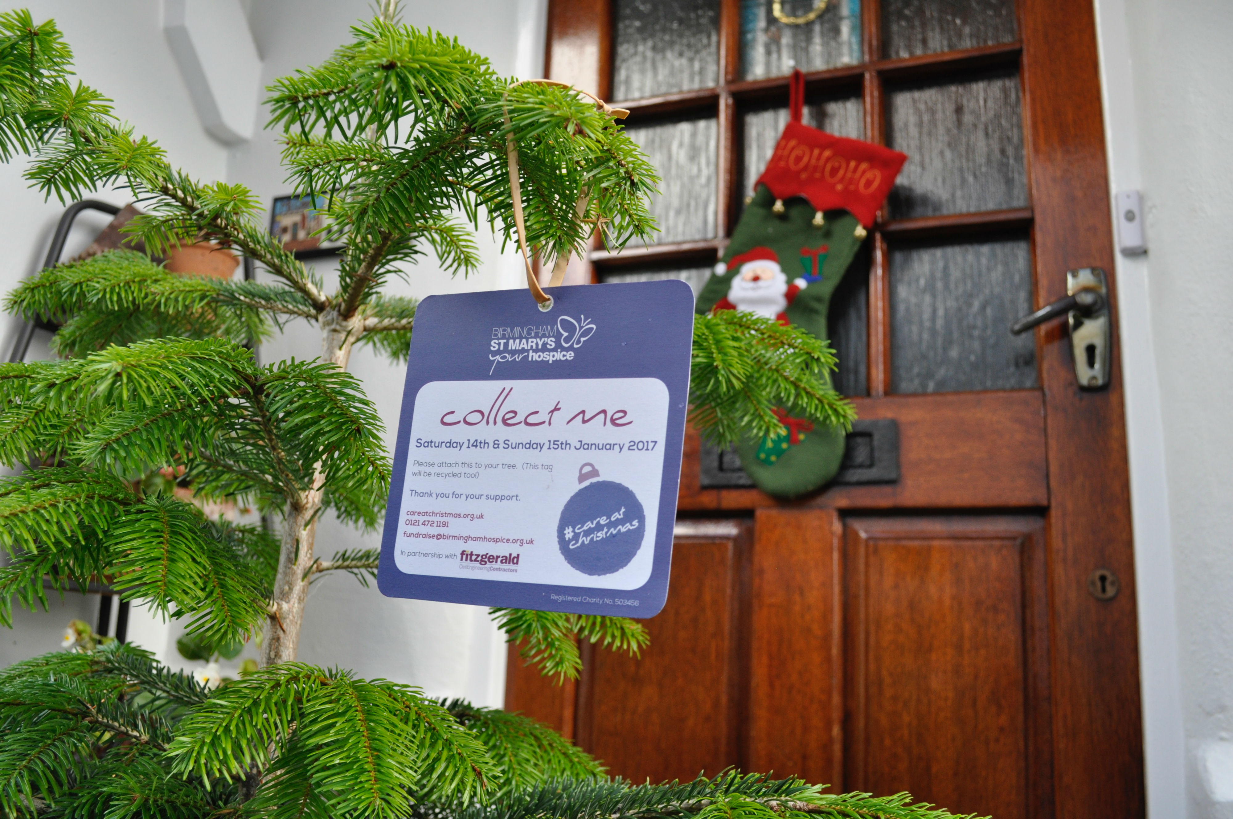 Birmingham, Dont’t bin your Christmas tree Treecycle it BrumHour