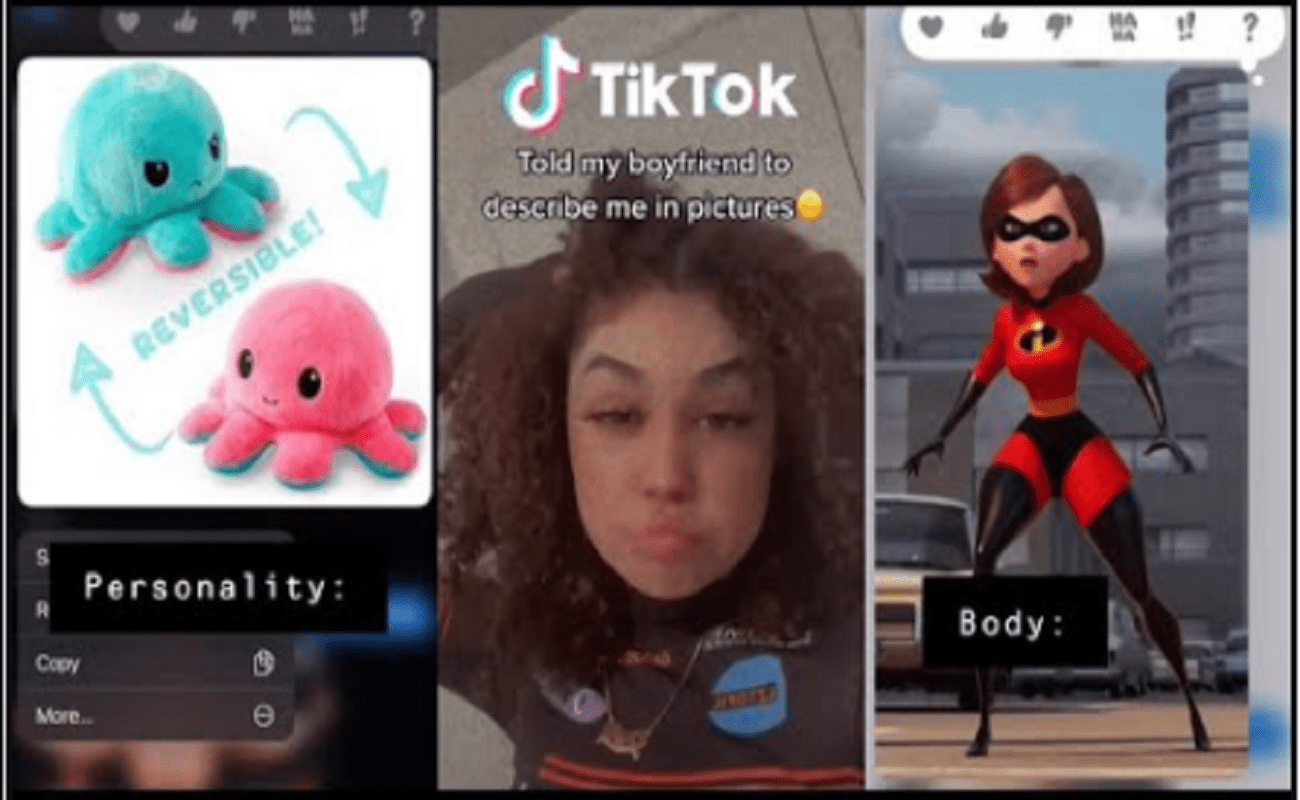 Describe Me in Pictures Tiktok Questions AmanihasSchmitt