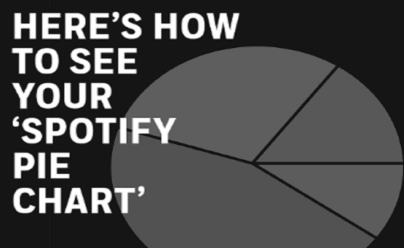 How To See Spotify Pie Chart? New Tool Explored BrunchVirals