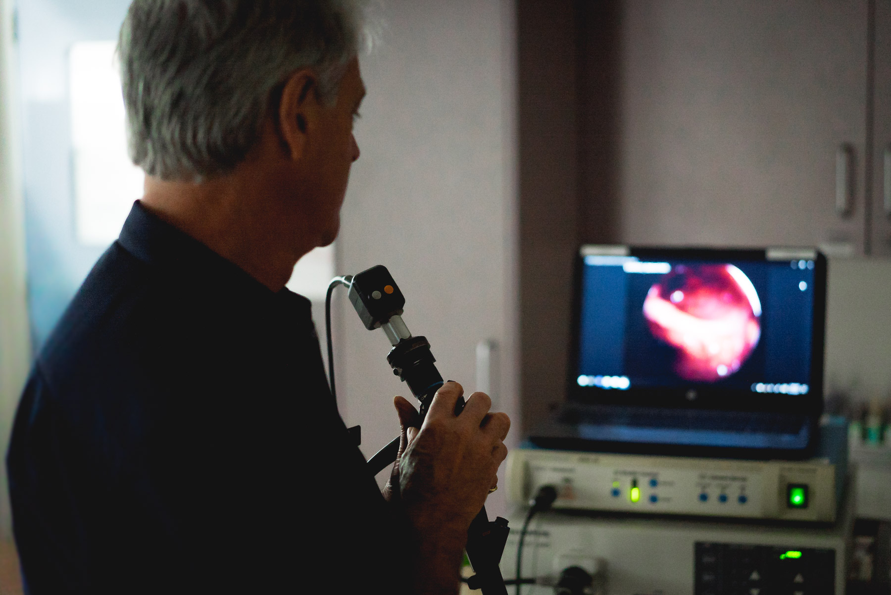 Cat & Dog Endoscopy Newcastle