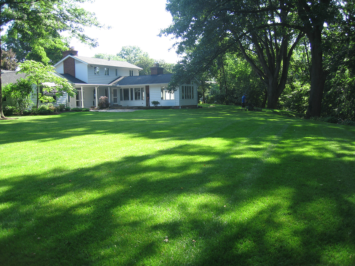Lawn Fertilization — Brunner Landscape
