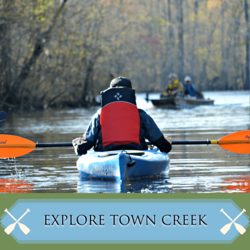 Exploring the Beauty of Town Creek Brunswick Forest