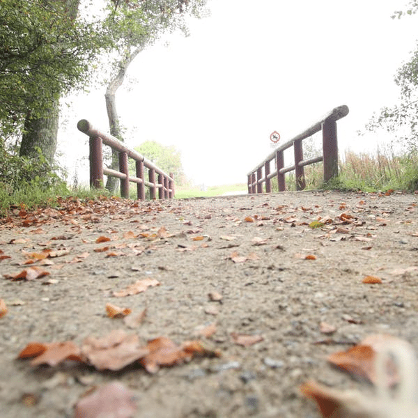 Main Streets Connector Bike Trail ProjectBrunswick Main Street