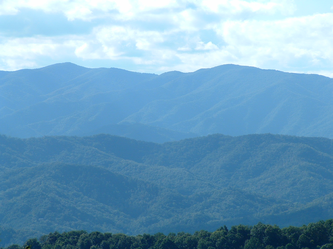 Brush Creek Mountain Pictures