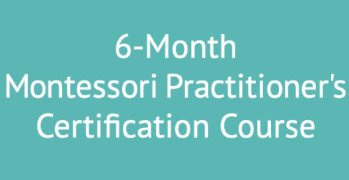 Books and Training on Dementia Care With Montessoi Methods