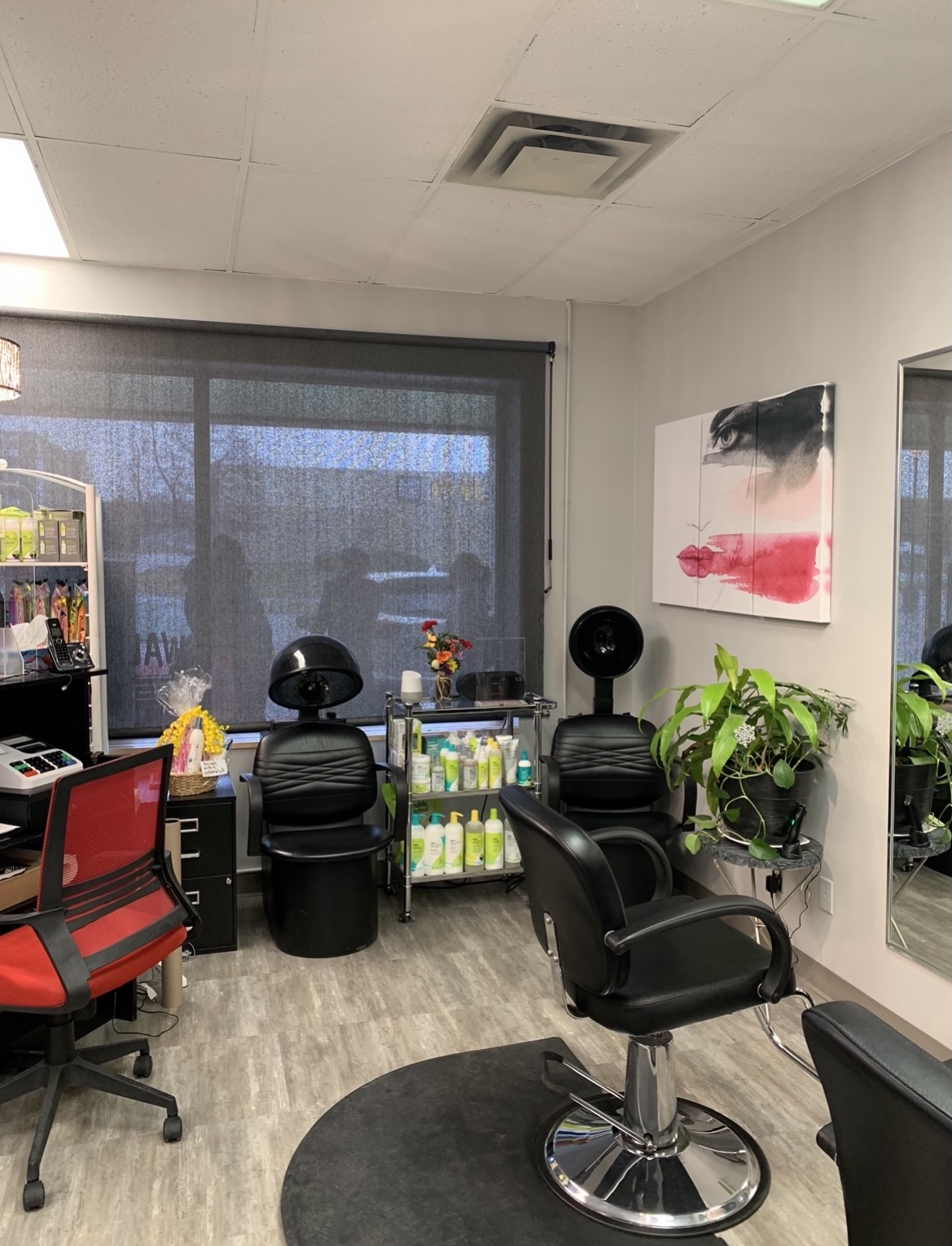 Services Kingston Hair Salon, Brushez Hair Studio
