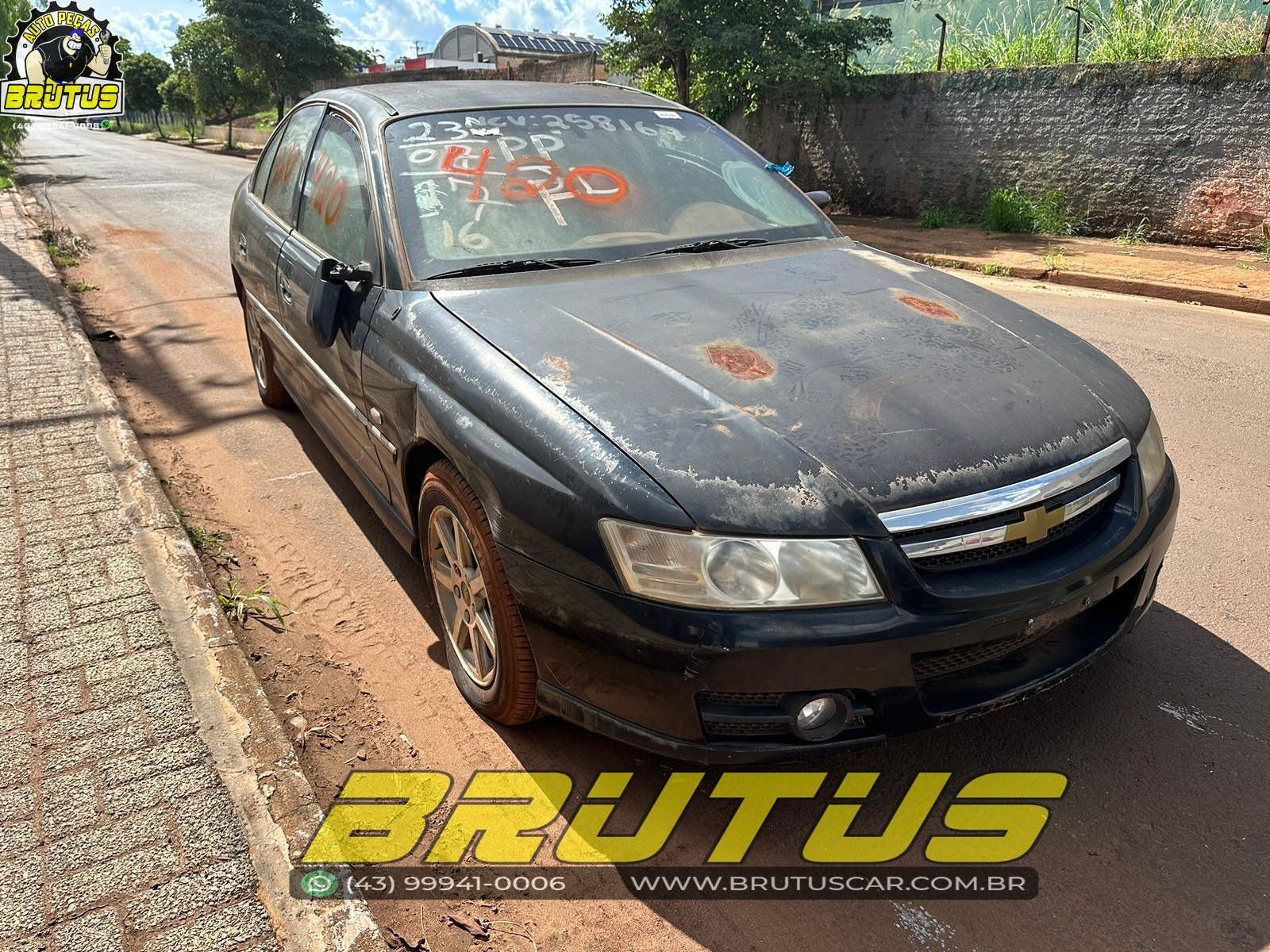 Omega Australiano 3.6 2005 Brutus car