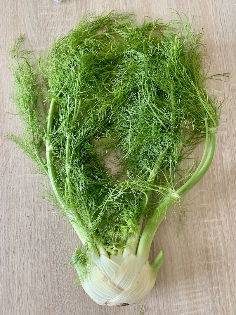 フェンネルの葉っぱを食べるには ブリュッセル