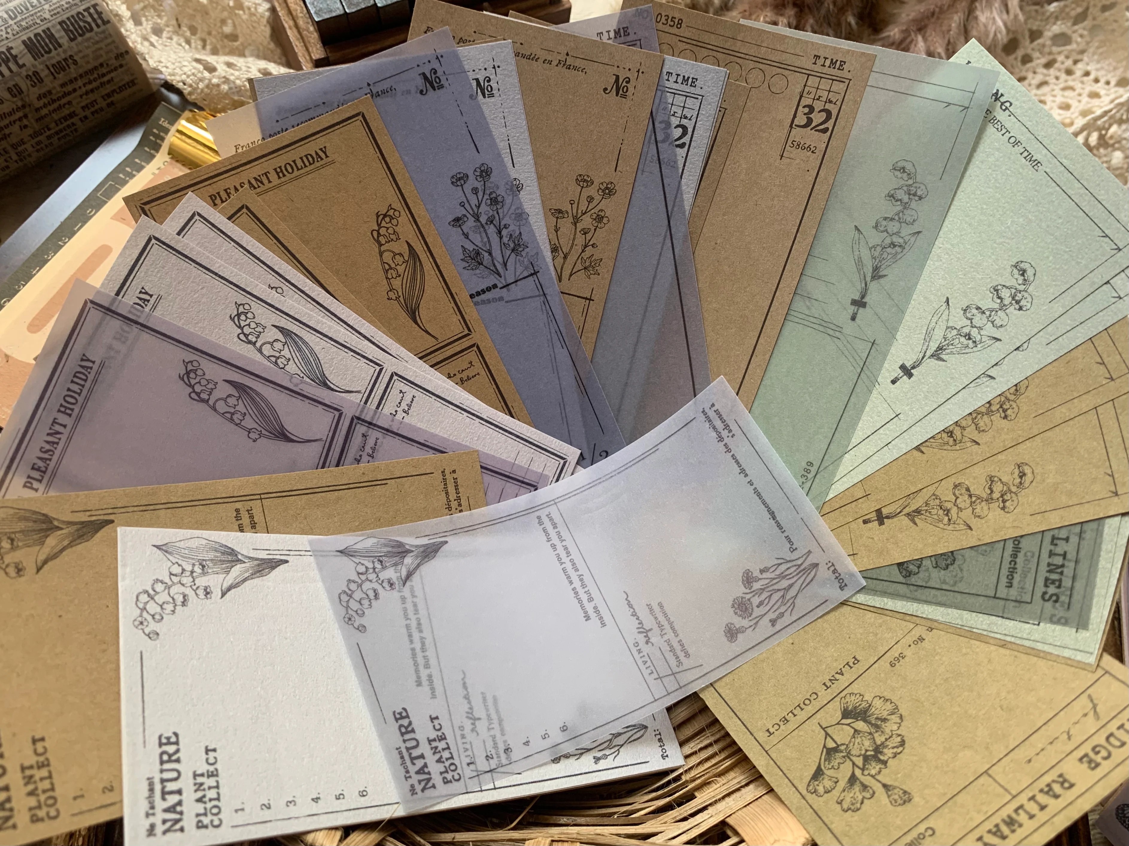 Vellum + Kraft Paper Set Botanical BRWN