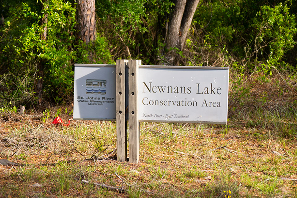 Newnan's Lake Conservation Area Bryan Berg
