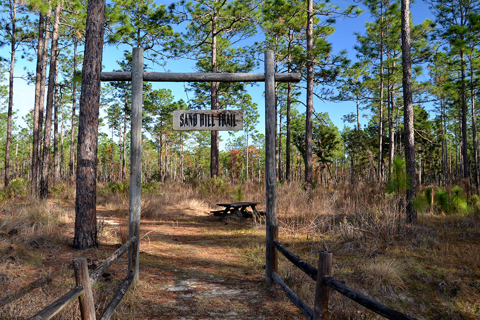 Hiking Silver Springs State Park Bryan Berg