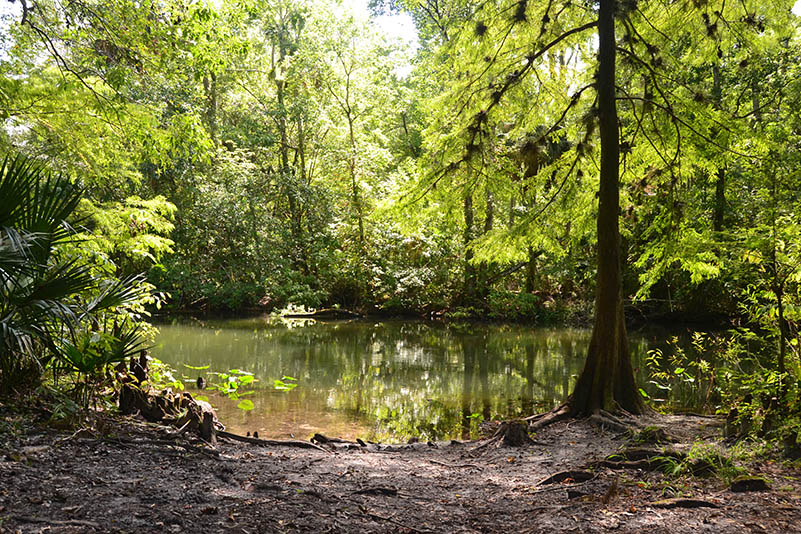 Hiking Gores Landing Unit Wildlife Management Area Bryan Berg