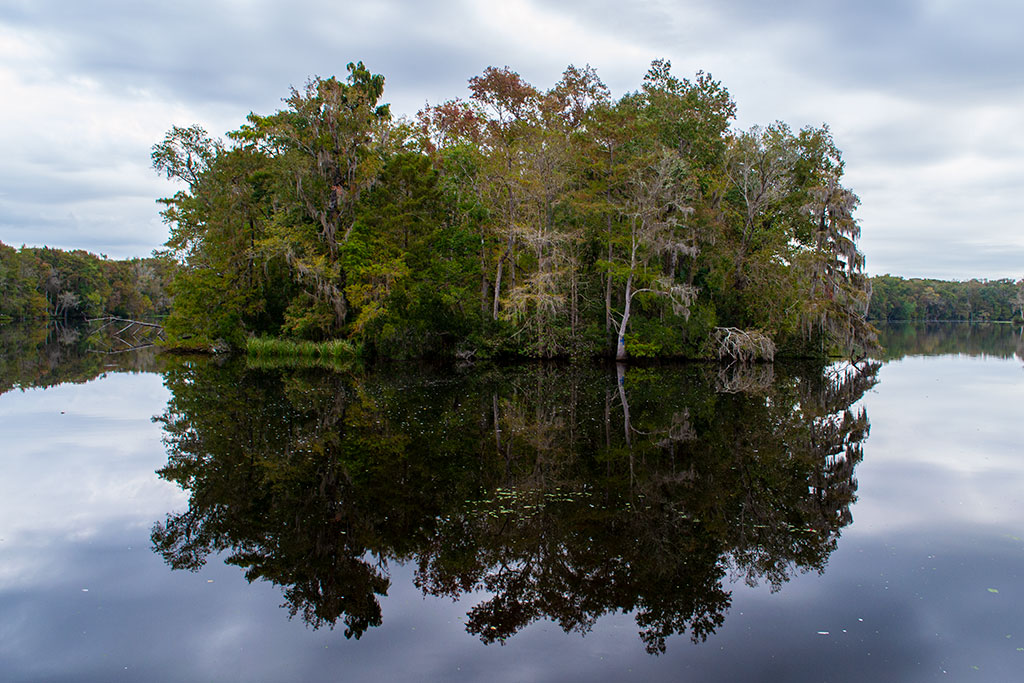 Dunn's Creek State Park Piney Bluff Trails Bryan Berg