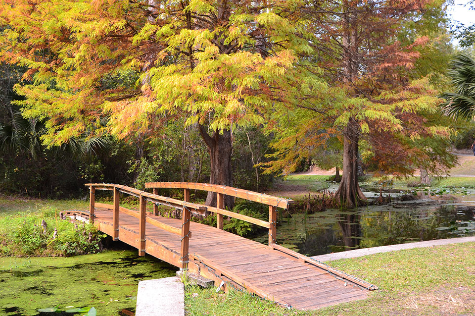 Hiking Ravine Gardens State Park Bryan Berg