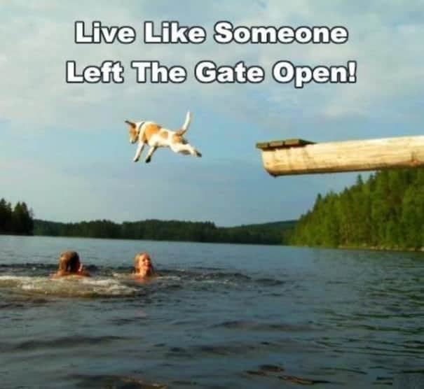 live like someone left the gate open Archives Bryan Reeves