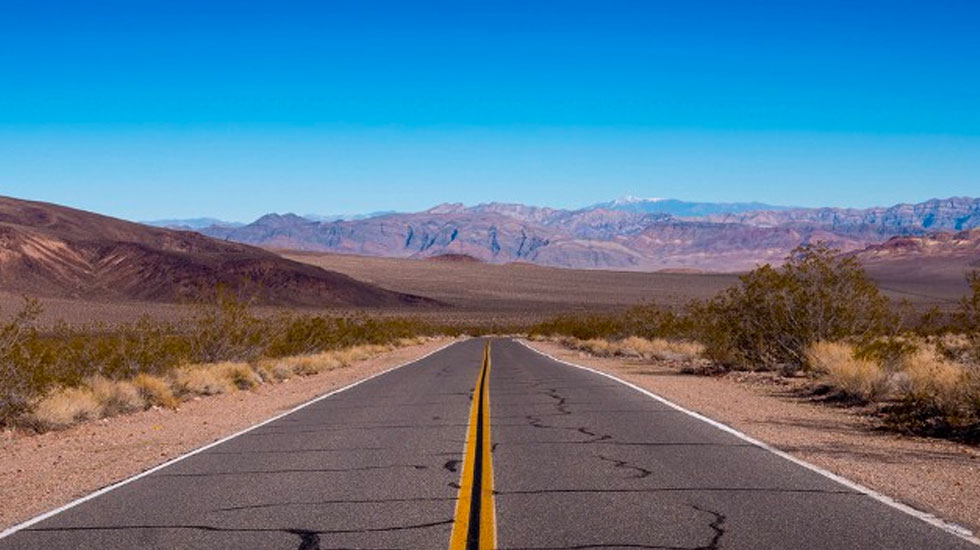 How does a Deliberately Developmental Organization (DDO) manage