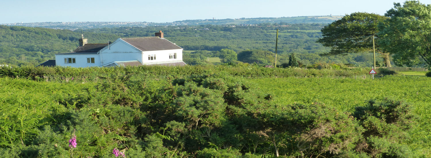 Brynawel Farm Bed and Breakfast