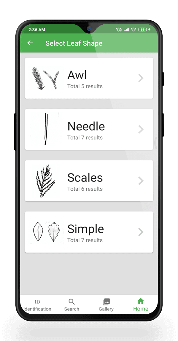 Australian Tree ID fast and smart tree identification