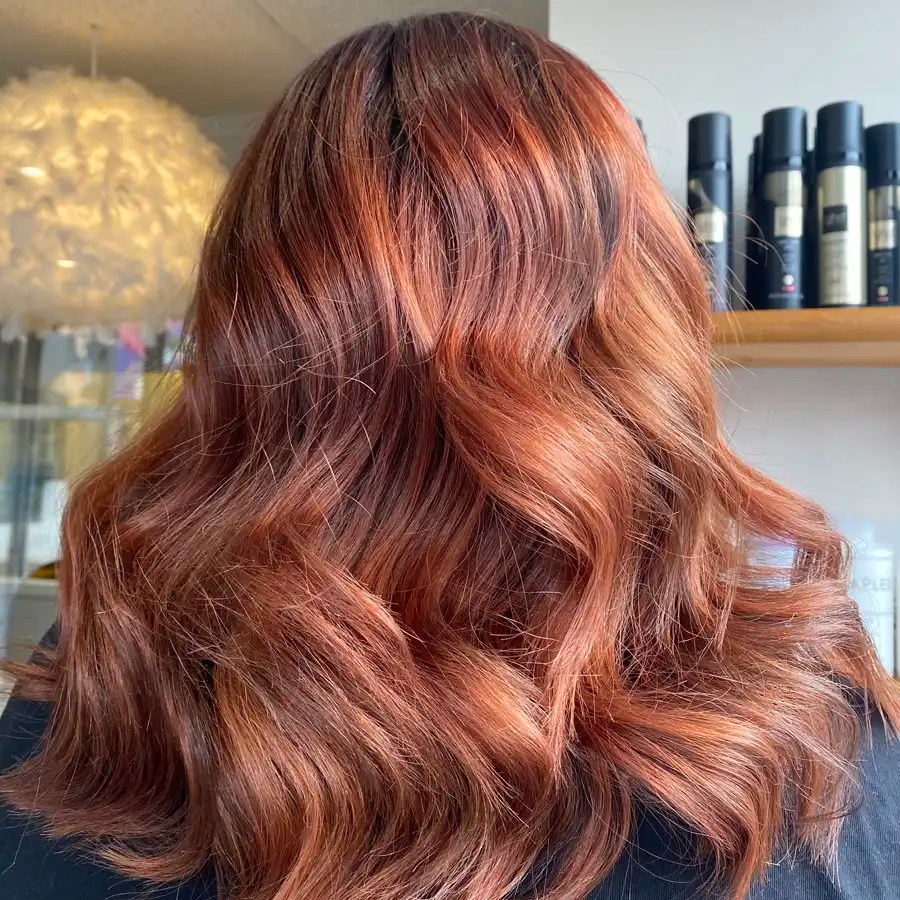 The Hairdresser BS3 0117 9665777 Professional Hair Salon, North