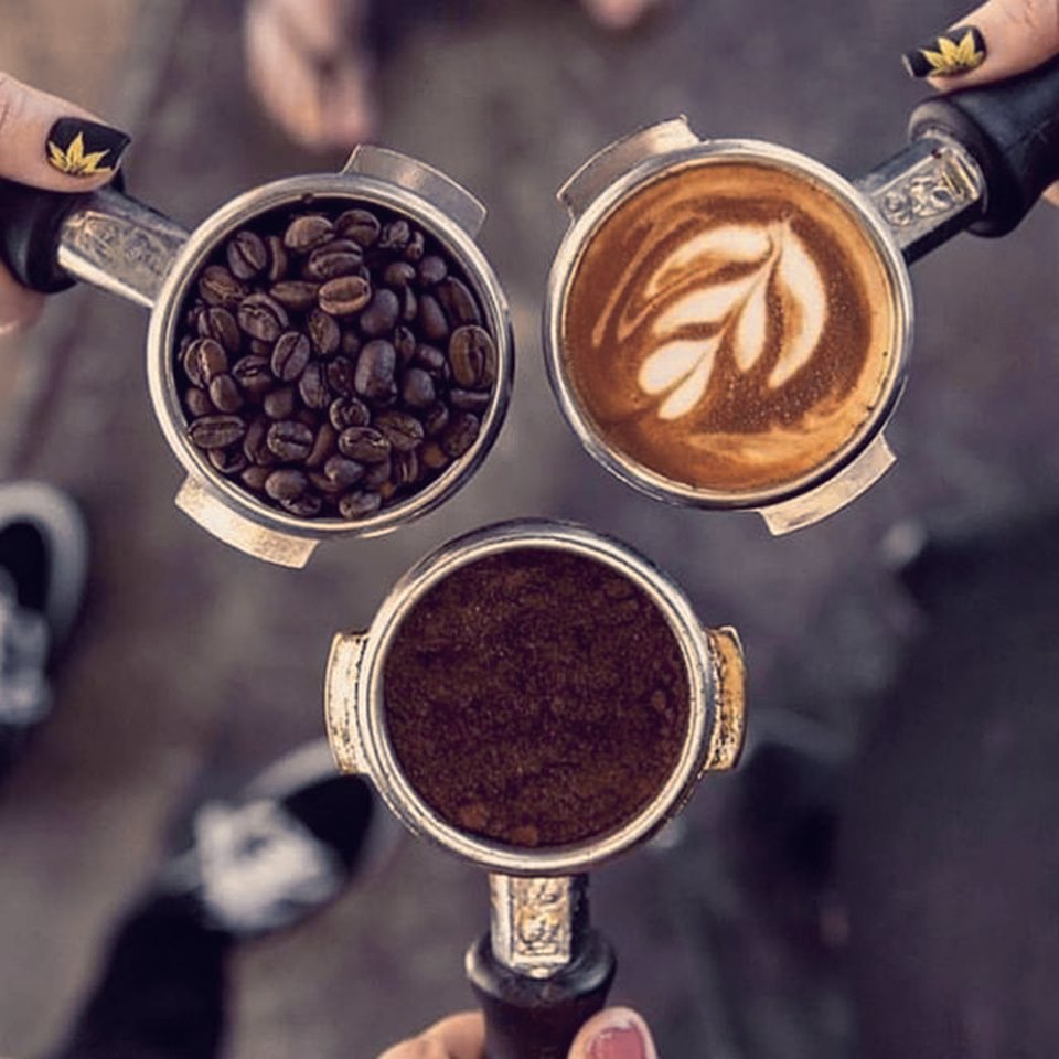 Himalayan Java Coffee Coffee Shop in Nepal BookingSansar