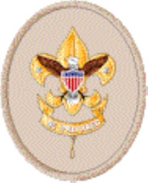Scouting Ranks BSA Scouts Advancement Scouting USA