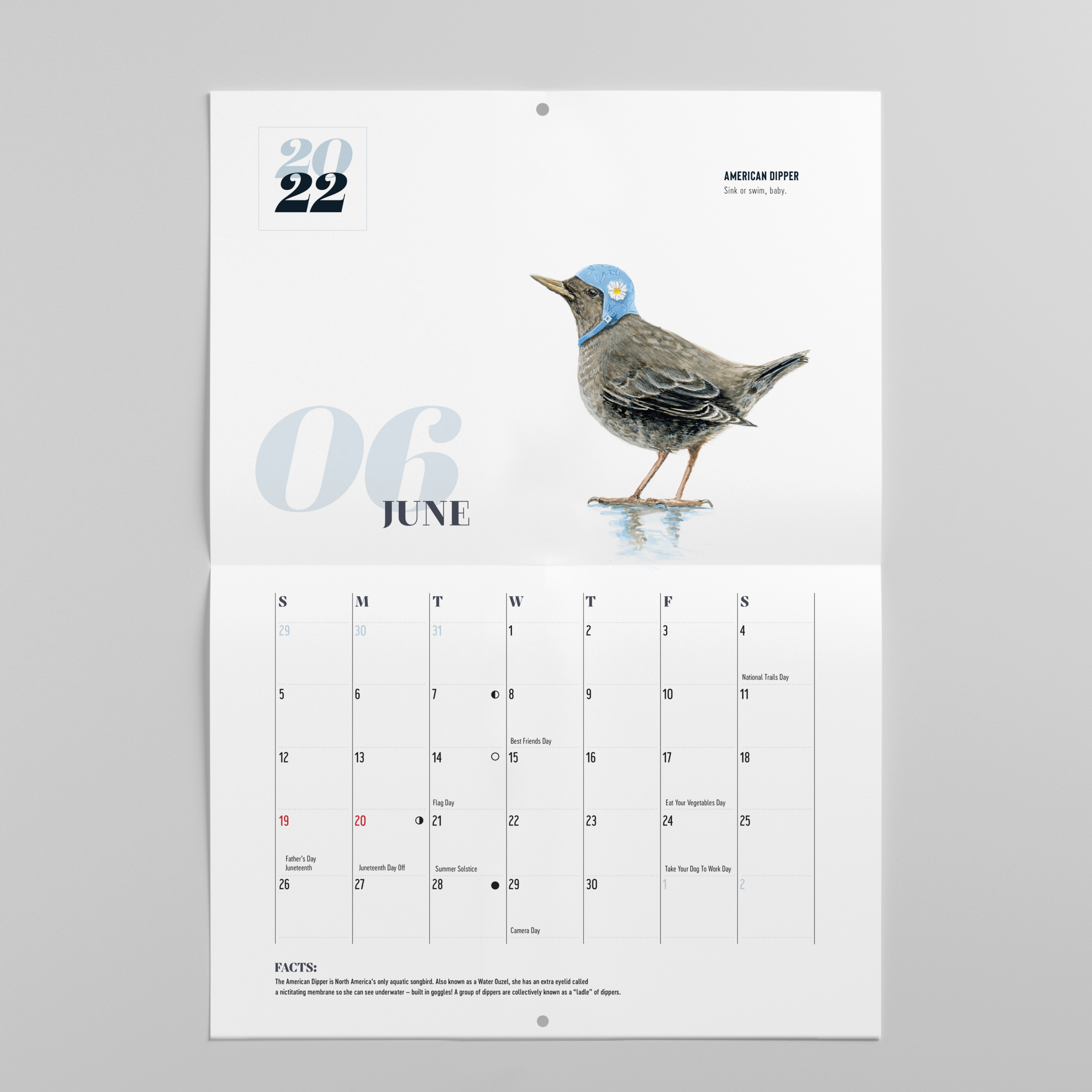 2022 Bird Calendar – Barbara Schelling