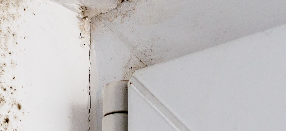 How Dangerous is Damp? Blog BS Fixings