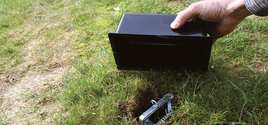 Hoe mollen vangen? Een stap voor stap aanpak! Tips &amp; advies Bio