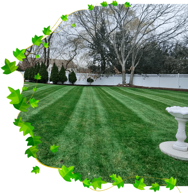 B&S Landscaping & Tree Removal Services Llc