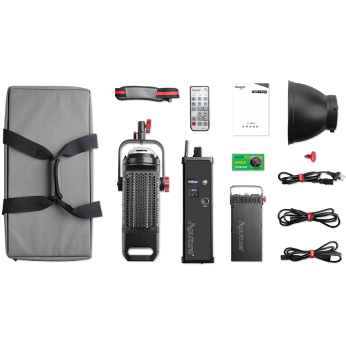 Aputure Light Storm 300d (Standard)
