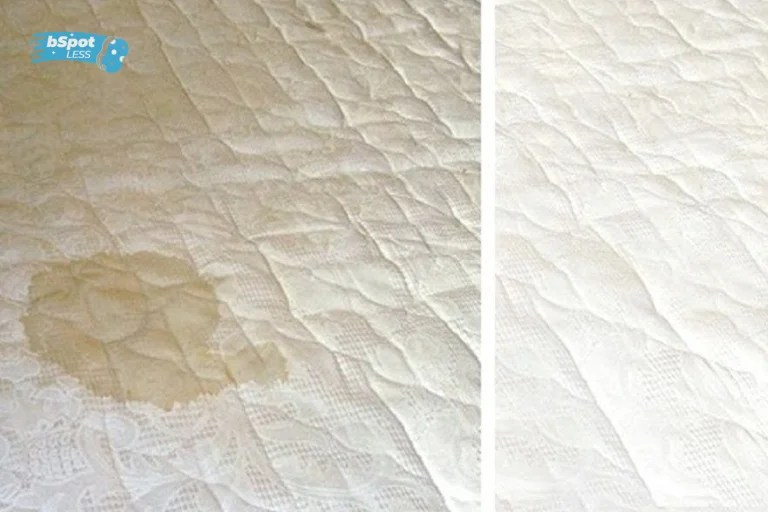 How To Remove Water Stain From Mattress bSpotLess