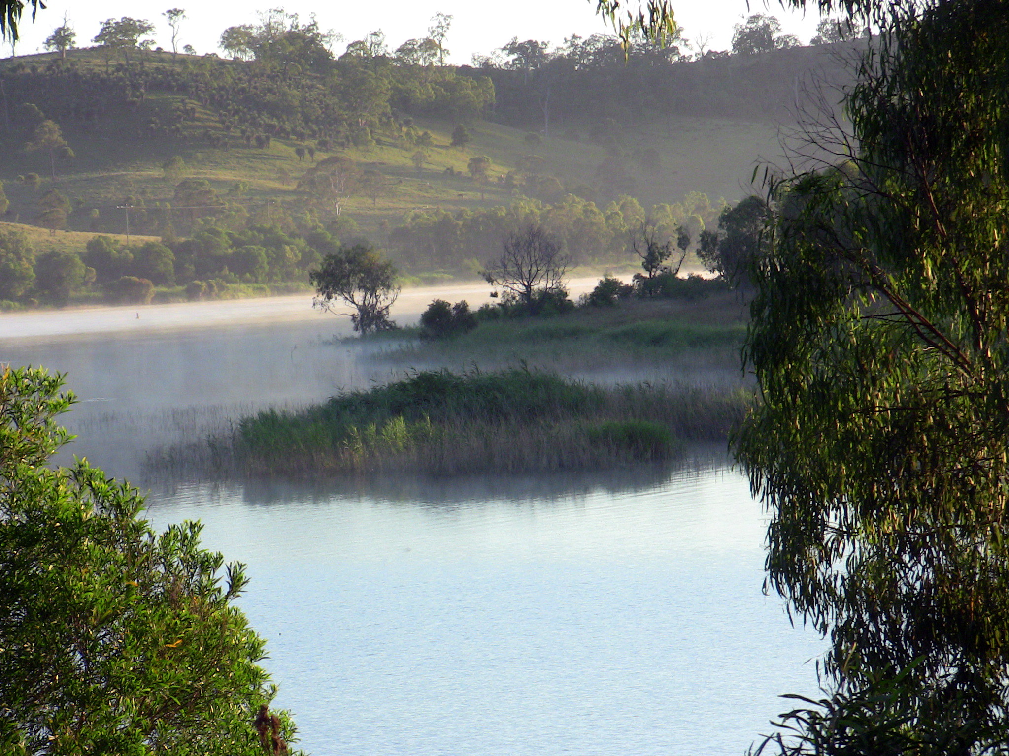 Cooby Dam Birdlife Southern Queensland Darling Downs Local Branch