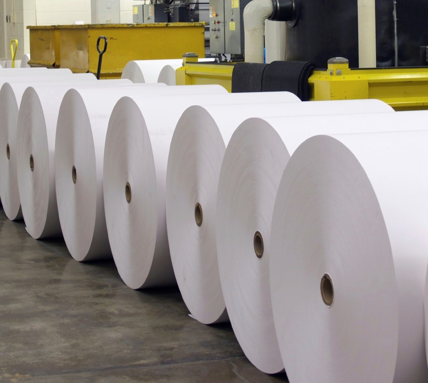 BSTIPL » Paper Rolls