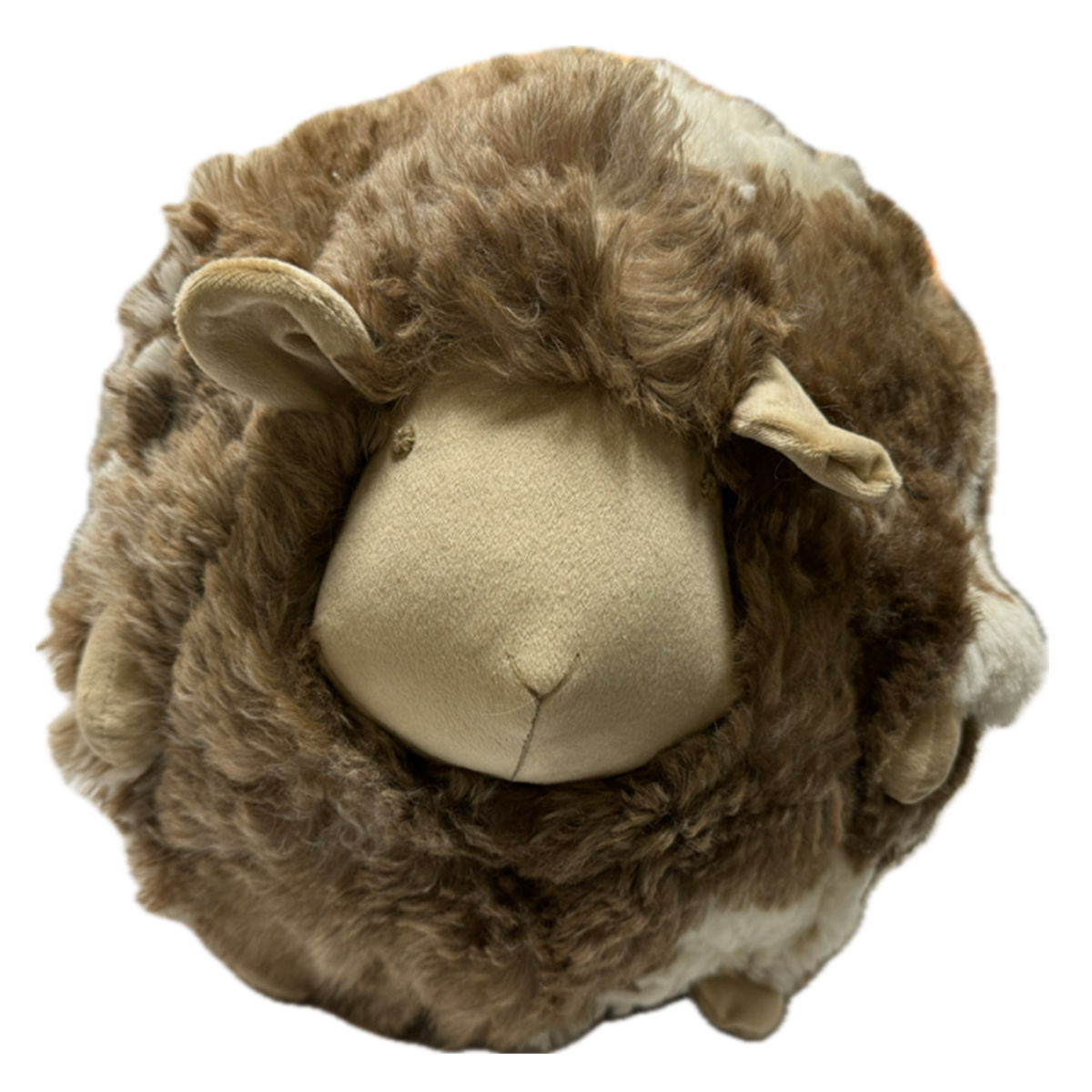 Woolicious Cuddle Pillows BSTrading