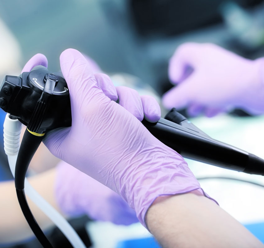 Endoscopy Vet in Swansea Bay State Veterinary Emergency and Specialty Services