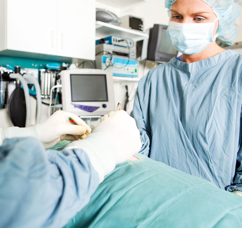 Surgery Vet in Swansea Bay State Veterinary Emergency and Specialty