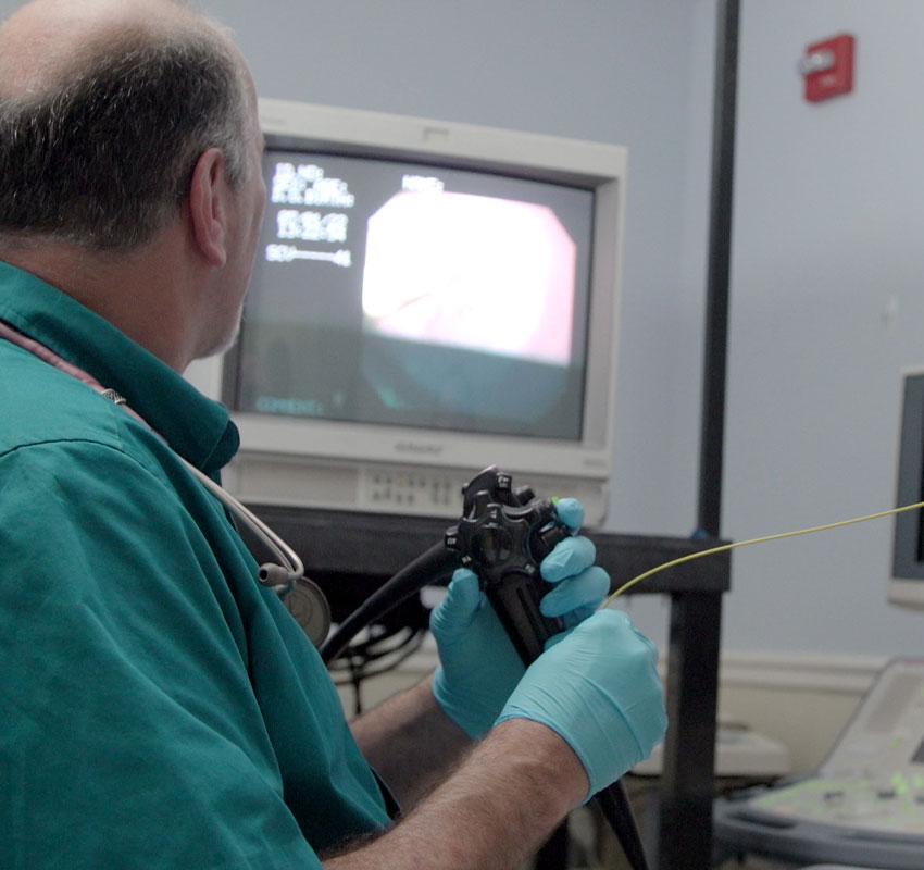 Endoscopy Vet in Swansea Bay State Veterinary Emergency and