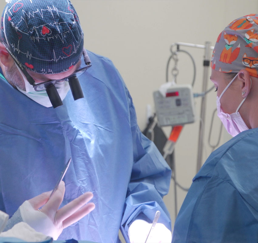 Surgery Vet in Swansea Bay State Veterinary Emergency and Specialty