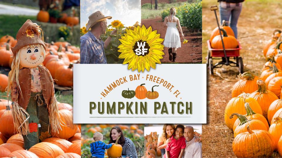 Hammock Bay Pumpkin Patch 2022