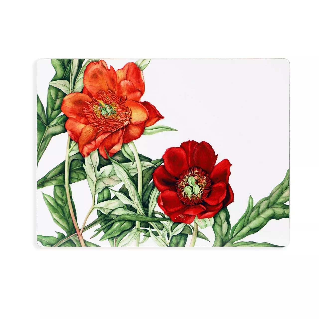 Botanical Studio Set Of 6 Placemats