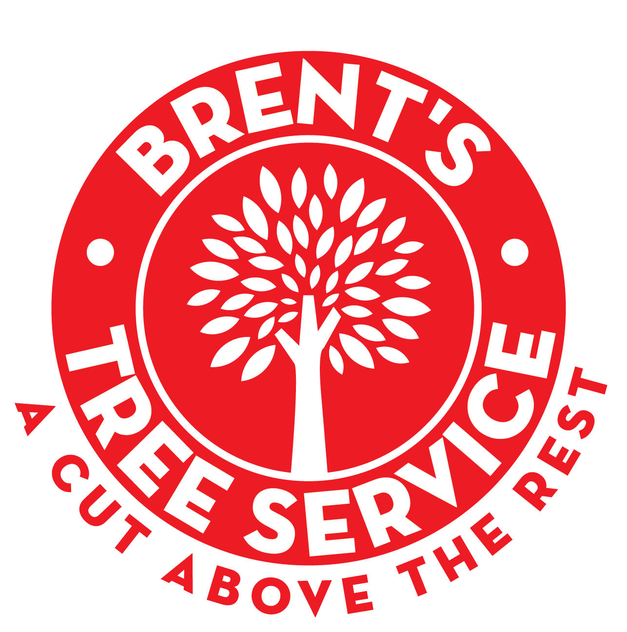 Brent'S Christmas Trees A Website.